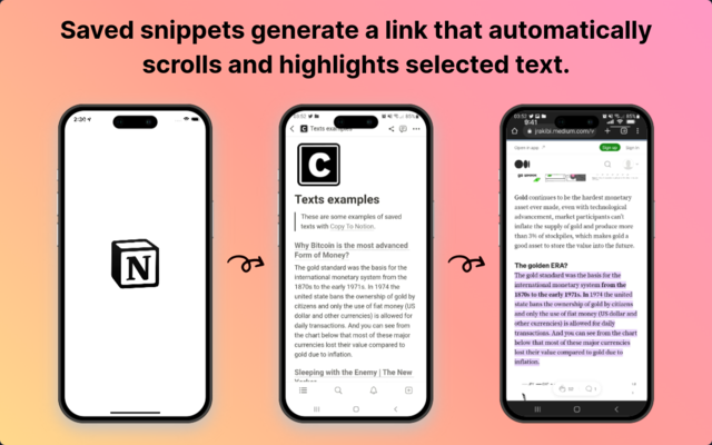 Copy To Notion: Clip anything to Notion Preview image 6