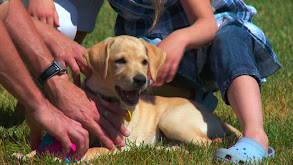 Bundles of Joy thumbnail