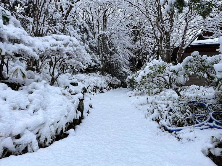 レヴォーグの雪・雪積もったに関するカスタム事例の投稿画像2枚目