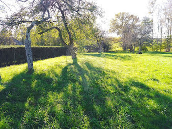 terrain à Sainte helene (88)