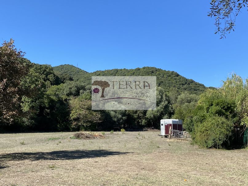 Vente terrain  1311 m² à Serra-di-Fiumorbo (20243), 137 990 €