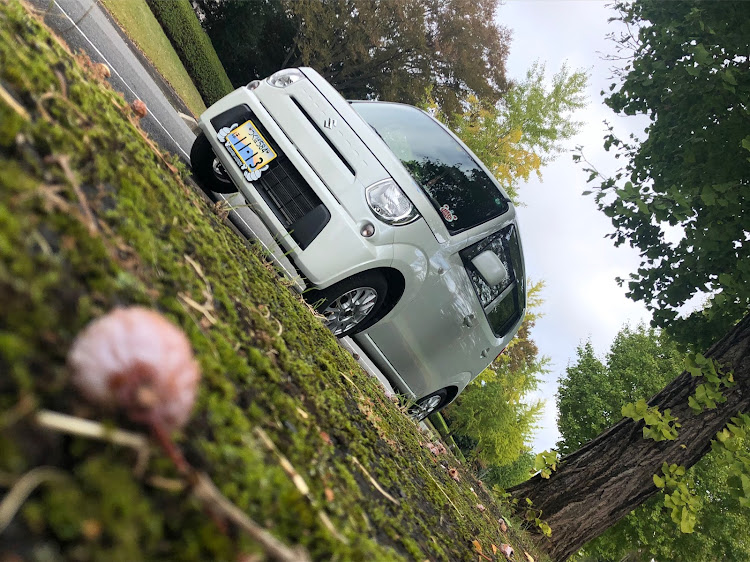 MRワゴンの紅葉と愛車・ゴールド免許・選挙投票に関するカスタム事例の投稿画像2枚目