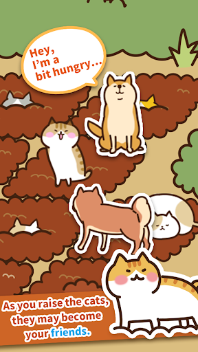 Field of Cats