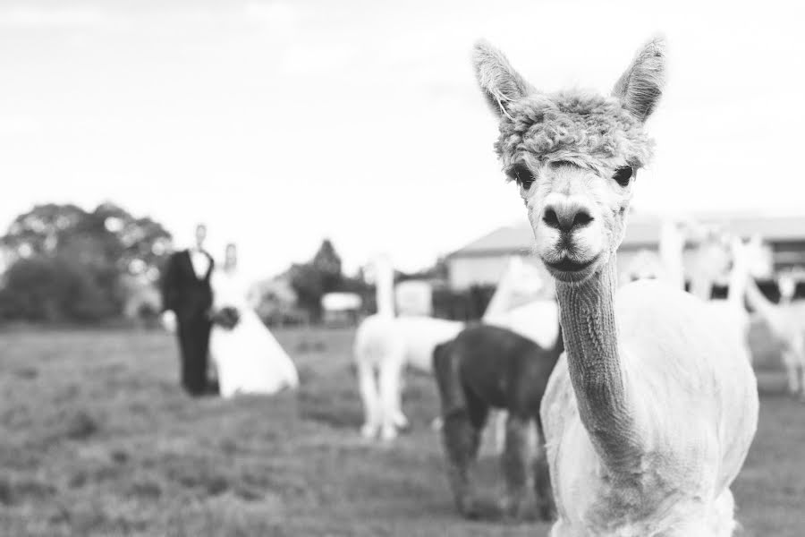 Svatební fotograf Phillip Eggers (eggers). Fotografie z 19.srpna 2019