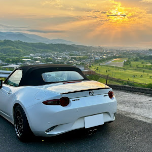 ロードスター ND5RC