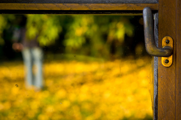 Autunno riflesso.. di mariateresatoledo