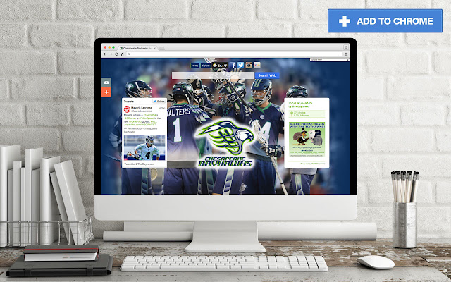 Chesapeake Bayhawks New Tab