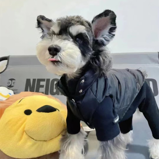 Title 2, Dogs Winter Warmth With Thick Cotton Vests
