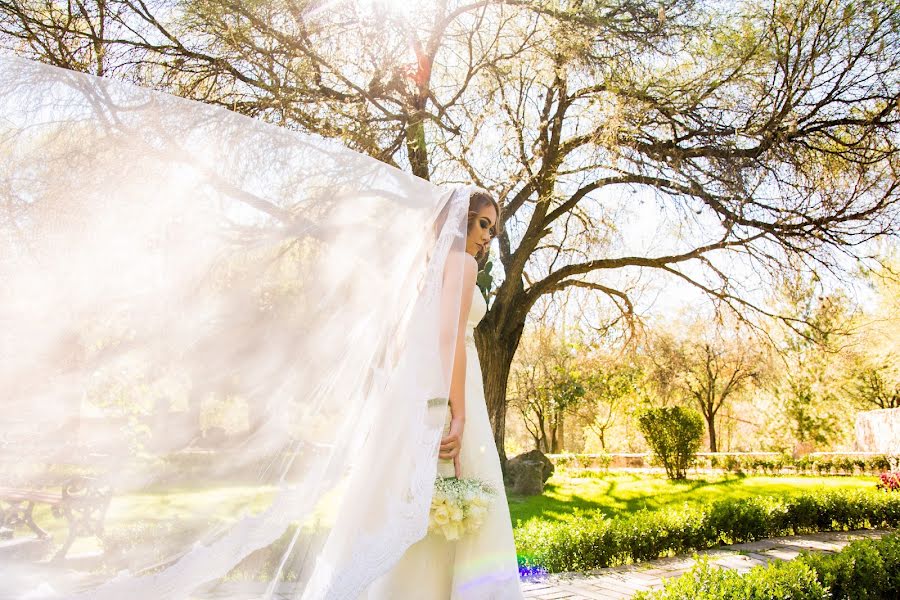 Fotografo di matrimoni Dany Magg (danymagg). Foto del 31 ottobre 2018