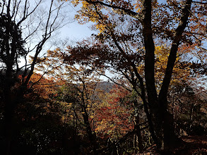 紅葉を見ながら歩く