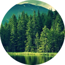 Forest Wallpaper chrome extension