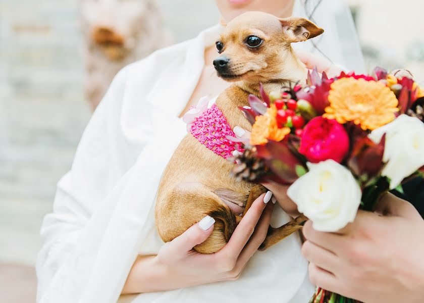 Photographe de mariage Elvira Chueshkova (inspiredream). Photo du 4 août 2017