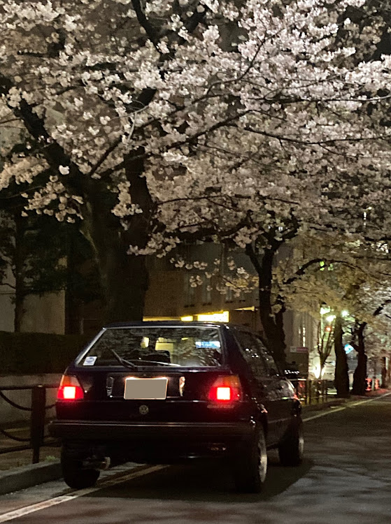 ゴルフ2のgolfmk2・vw golf2・春めき桜に関するカスタム事例の投稿画像2枚目