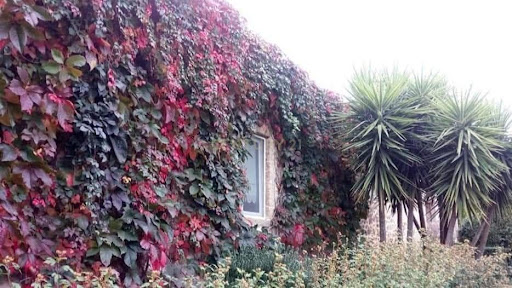 Corps de ferme avec jardin 2