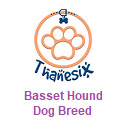 Basset Hound Dog Breed - Thanesix.com Chrome extension download