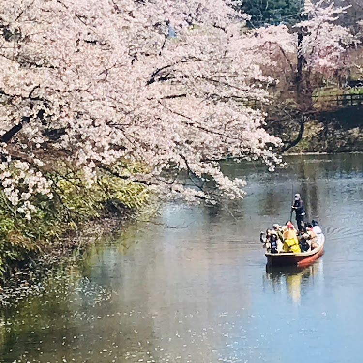 の投稿画像6枚目