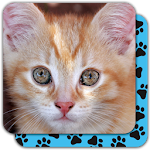 Cover Image of ดาวน์โหลด Puzzle Games free: Cute Cats 5.34.034 APK