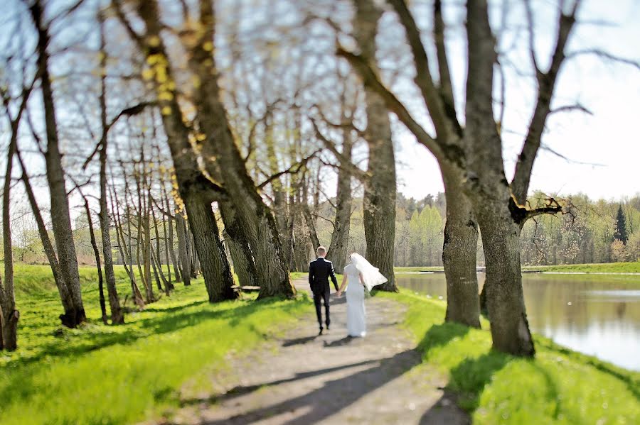 Photographe de mariage Maksim Vetrov (vetrov). Photo du 7 mars 2017