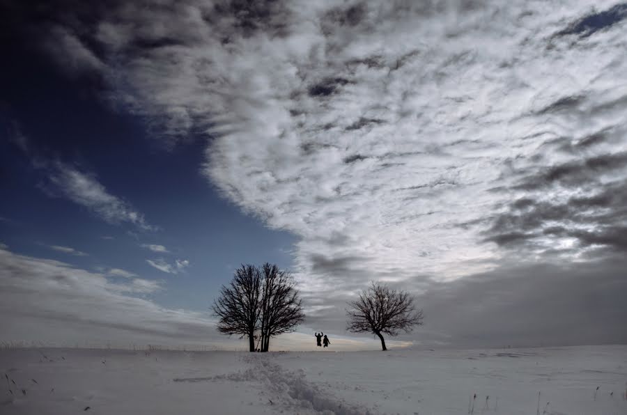 Svadobný fotograf Aleksey Kremov (apluskr). Fotografia publikovaná 11. februára 2016