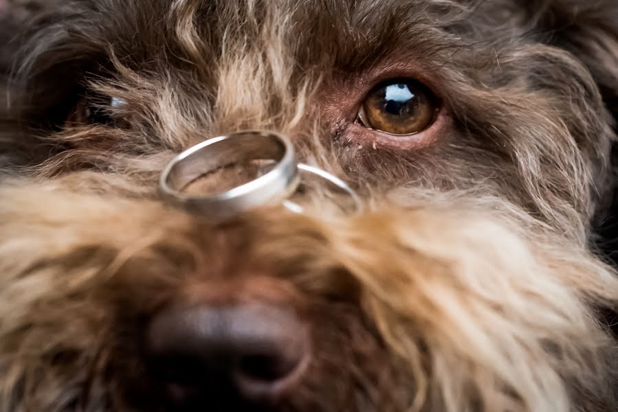 Hääkuvaaja Shirley Born (sjurliefotograf). Kuva otettu 19. elokuuta 2019