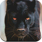 Cover Image of Baixar Black Panther HD Wallpaper 1.07 APK