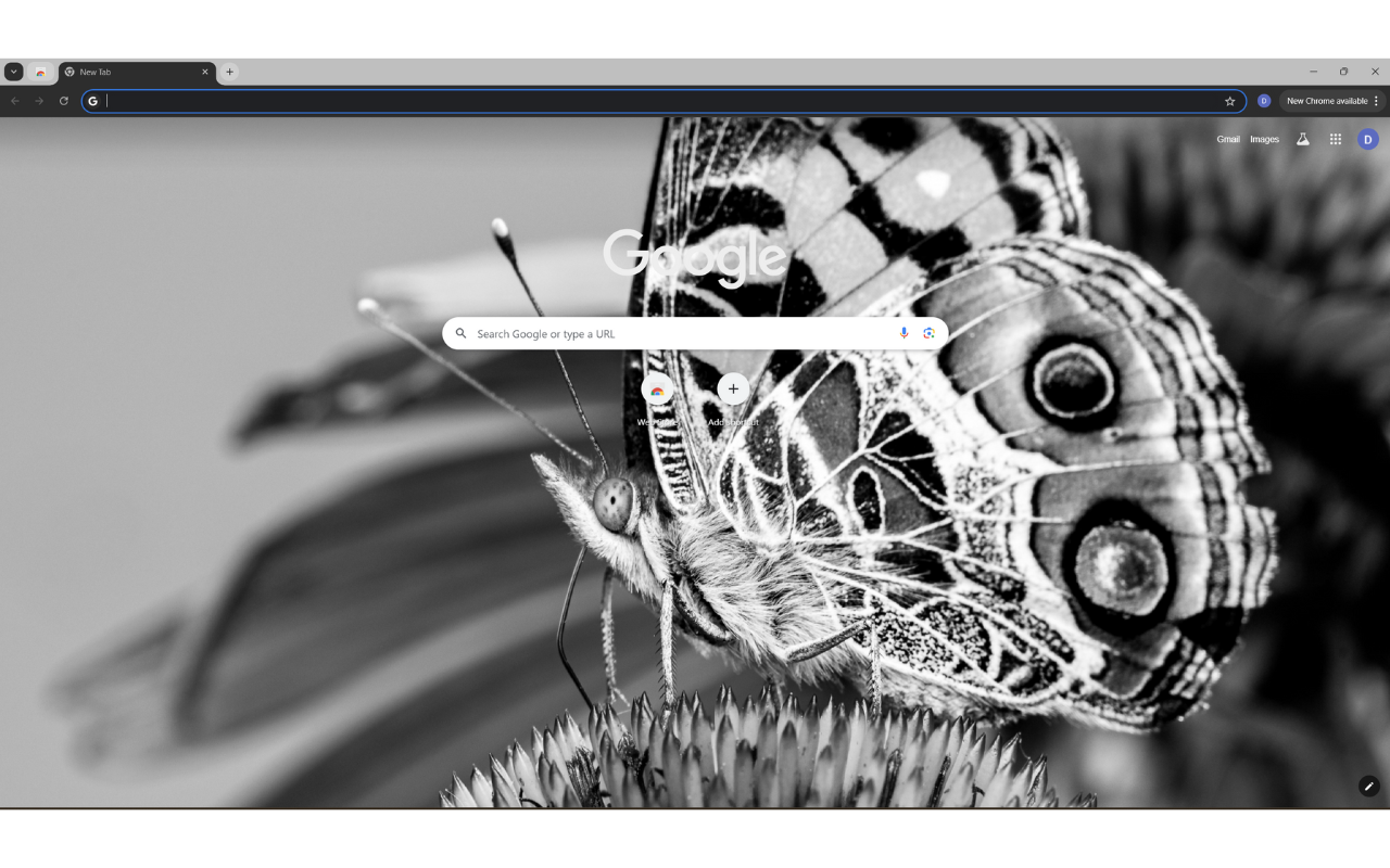 Grayscale Photo of a Butterfly Chrome Extension Image 1