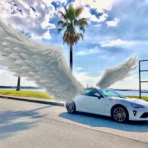 86