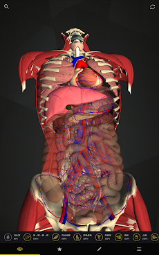 teamLabBody-Internal Organs-のおすすめ画像2