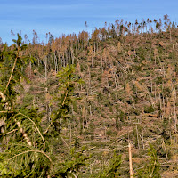 Tempesta Vaia di giuseppedangelo