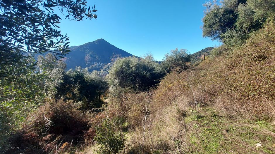 Vente terrain  2350 m² à Vico (20160), 160 000 €