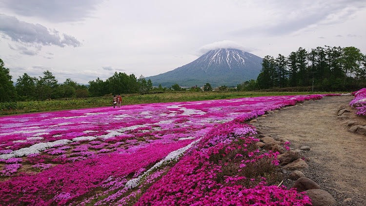 の投稿画像2枚目