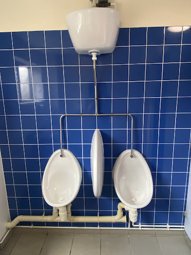 Item 6