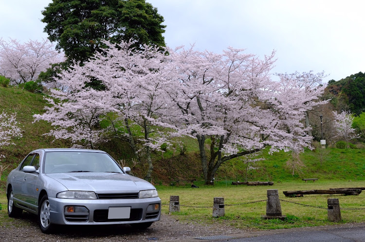 スカイラインのR33セダンの部・ドライブ・オフ会・桜に関するカスタム事例の投稿画像7枚目