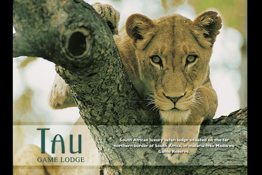 Tau Game Lodge