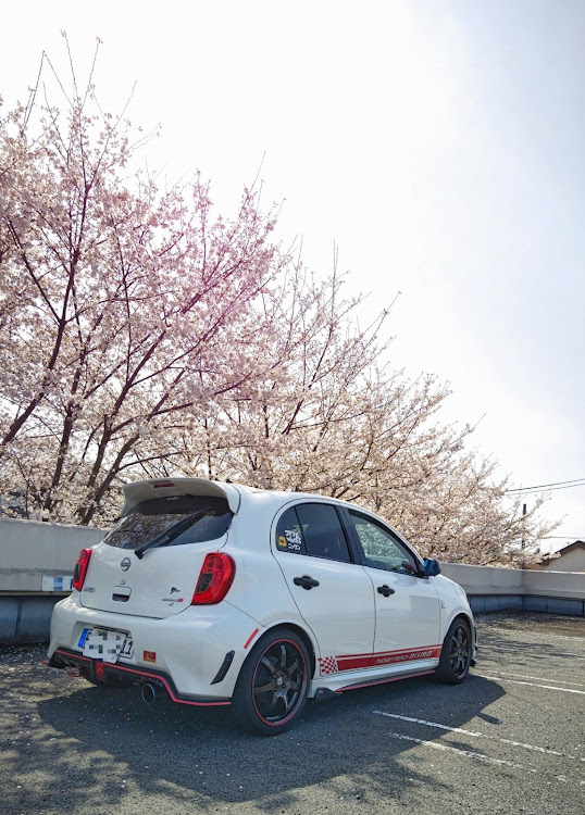 マーチのホットハッチで行こうぜぇ🔥・桜とコラボ・4月も宜しくお願いします🌸に関するカスタム事例の投稿画像3枚目
