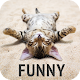 Download Funny wallpapers For PC Windows and Mac 10.11.2017-funny