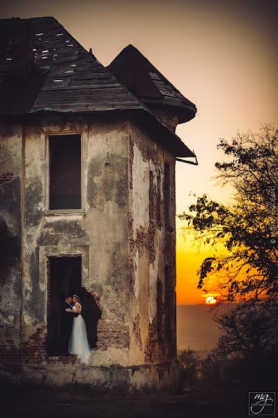 Fotografo di matrimoni Marius Godeanu (godeanu). Foto del 21 novembre 2019