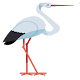 Download White Stork Fly For PC Windows and Mac 1.0