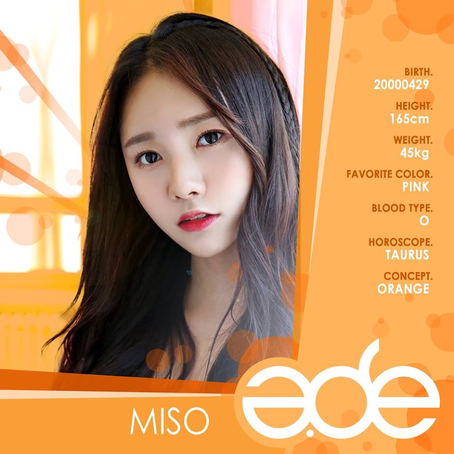 ade-miso1