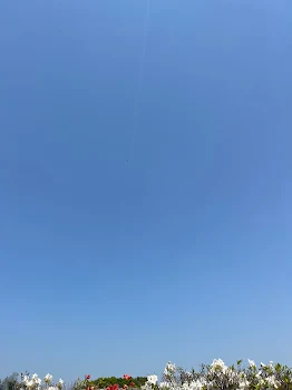 雑談(自慢になっちゃうかも、、)