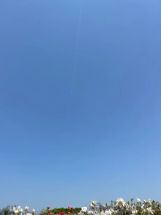 「雑談(自慢になっちゃうかも、、)」のメインビジュアル