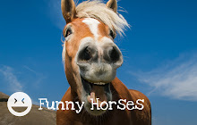 Funny Horses HD Wallpapers New Tab Theme small promo image