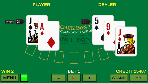 Télécharger Gratuit Video Blackjack 21  APK MOD (Astuce) 1