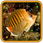 Cover Image of Download Fishes Underwater lwp 1.0 APK