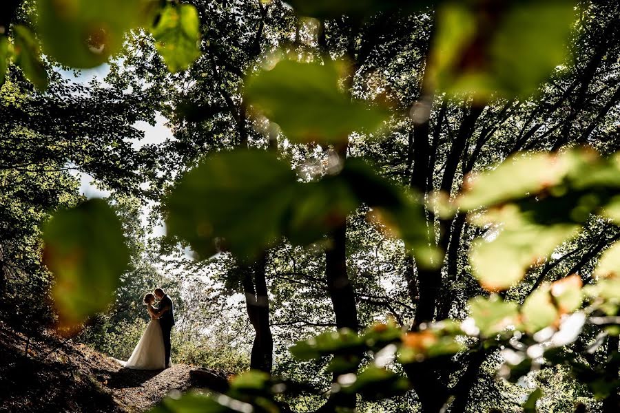 Svatební fotograf Elaine Van Den Berg (elainefotografie). Fotografie z 6.března 2019