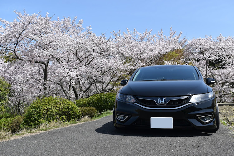 ジェイドの桜と愛車・桜とコラボ・桜に関するカスタム事例の投稿画像1枚目