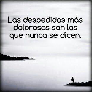 Frases de Despedida(圖2)-速報App