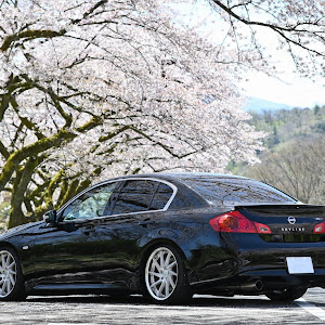 スカイライン V36