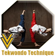 Taekwondo Technique  Icon