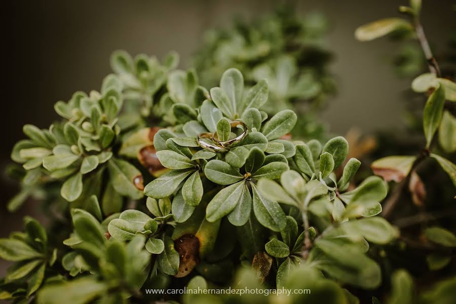 Bröllopsfotograf Carolina Hernandez (chernandez). Foto av 28 september 2019